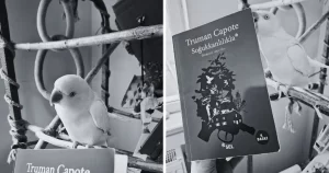 Read more about the article Soğukkanlılıkla / Truman Capote / Sel Yayıncılık
