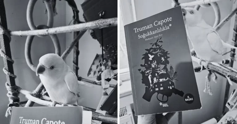 Soğukkanlılıkla / Truman Capote / Sel Yayıncılık