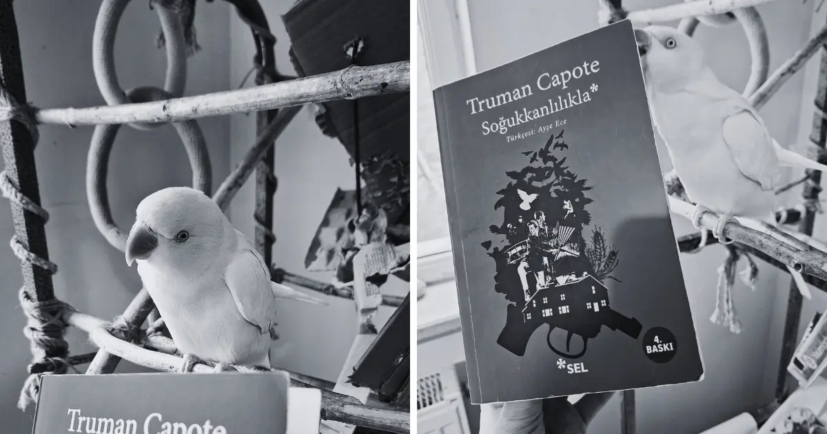 You are currently viewing Soğukkanlılıkla / Truman Capote / Sel Yayıncılık